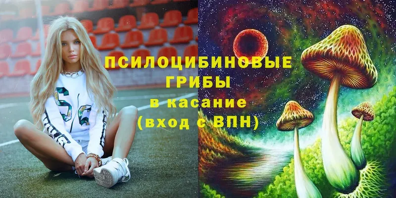 купить наркоту  Хвалынск  Псилоцибиновые грибы Magic Shrooms 